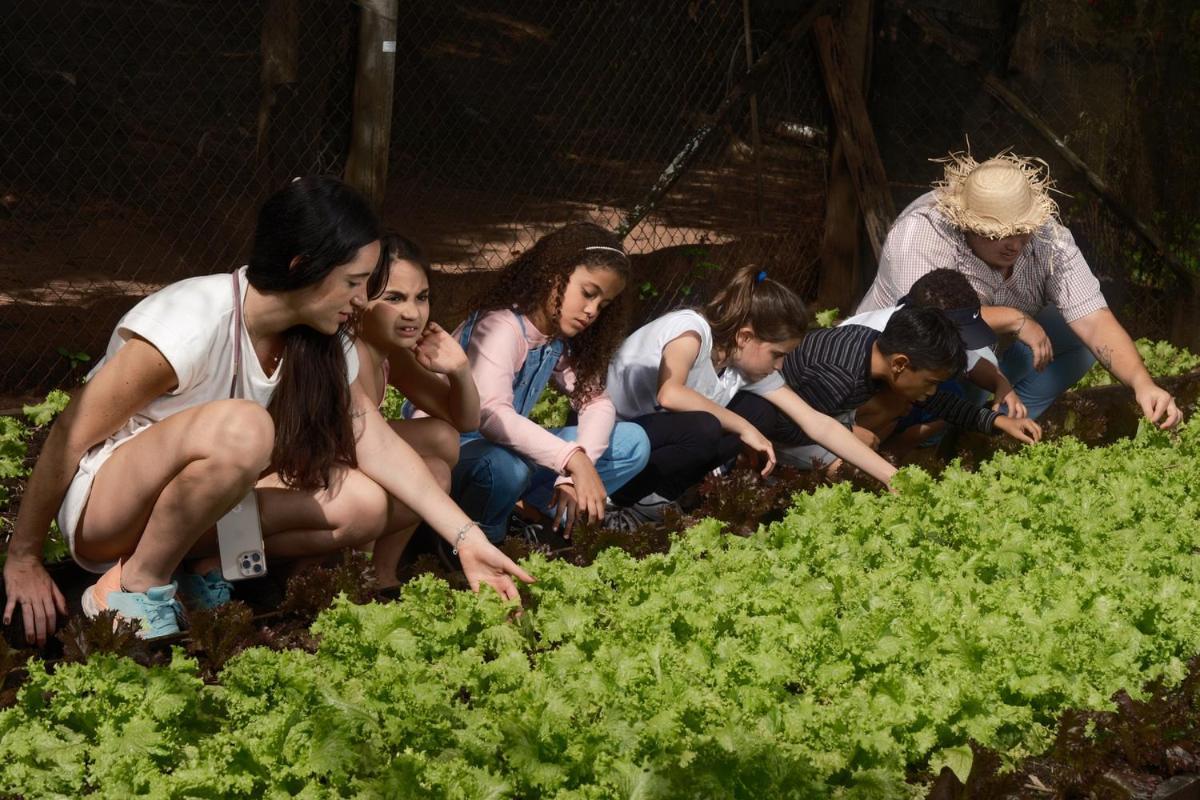 Brotas Eco Hotel Fazenda מראה חיצוני תמונה