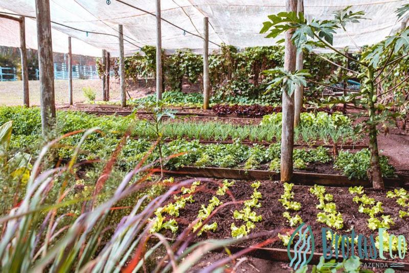 Brotas Eco Hotel Fazenda מראה חיצוני תמונה