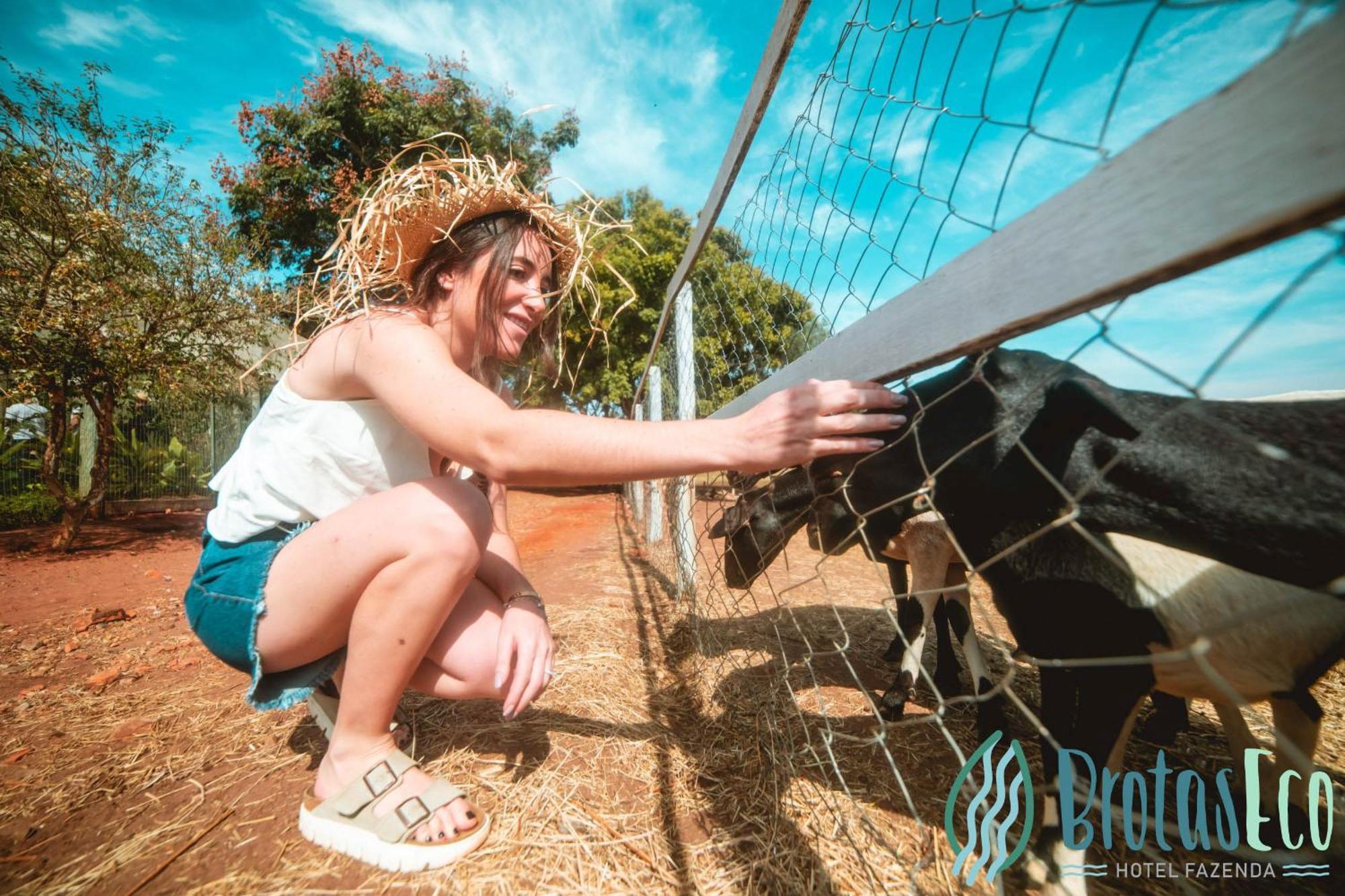 Brotas Eco Hotel Fazenda מראה חיצוני תמונה