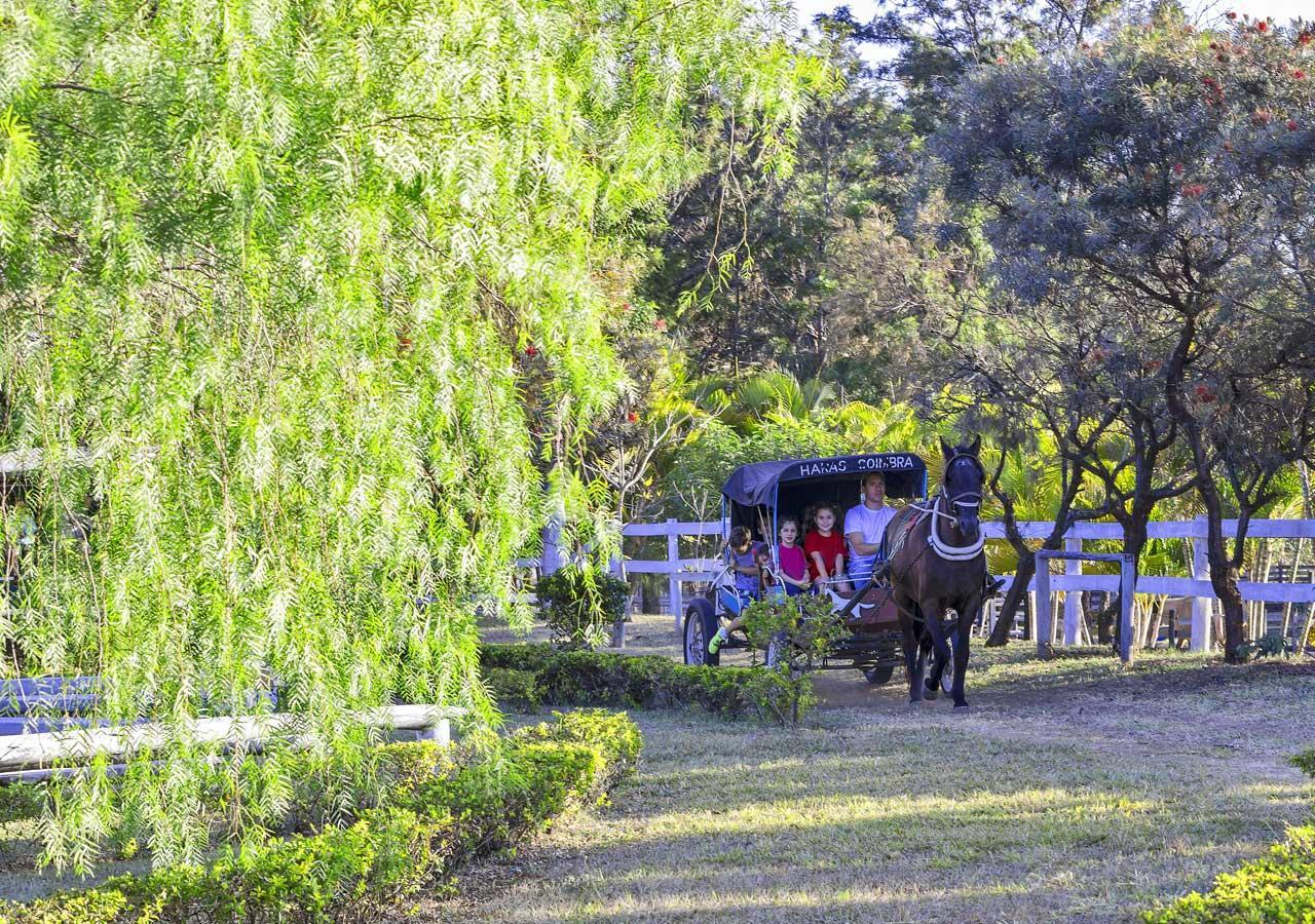 Brotas Eco Hotel Fazenda מראה חיצוני תמונה